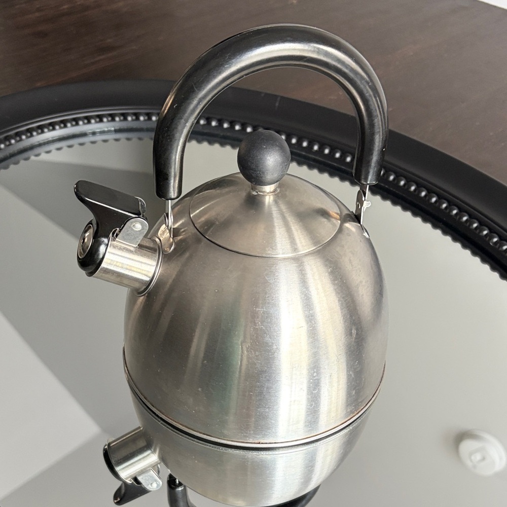 Stainless Steel Whistling Tea Kettle with Black Handle